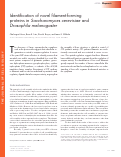 Cover page: Identification of novel filament-forming proteins in Saccharomyces cerevisiae and Drosophila melanogaster