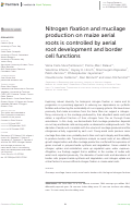 Cover page: Nitrogen fixation and mucilage production on maize aerial roots is controlled by aerial root development and border cell functions