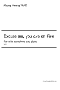 Cover page: Excuse me, you are on fire