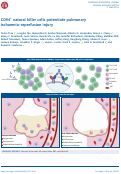 Cover page: CD94+ Natural Killer cells potentiate pulmonary ischemia-reperfusion injury.