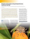 Cover page: Biological control program is being developed for brown marmorated stink bug