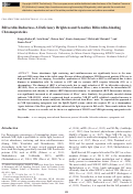 Cover page: Biliverdin Reductase-A Deficiency Brighten and Sensitize Biliverdin-binding Chromoproteins.