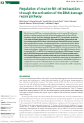 Cover page: Regulation of murine NK cell exhaustion through the activation of the DNA damage repair pathway