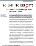 Cover page: Znf703 is a novel RA target in the neural plate border