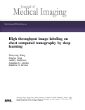 Cover page: High throughput image labeling on chest computed tomography by deep learning.