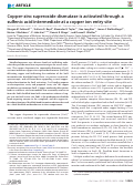 Cover page: Copper-zinc superoxide dismutase is activated through a sulfenic acid intermediate at a copper ion entry site