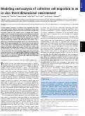 Cover page: Modeling and analysis of collective cell migration in an in vivo three-dimensional environment