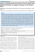 Cover page: Dietary and Behavioral Interventions Protect against Age Related Activation of Caspase Cascades in the Canine Brain