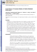 Cover page: Casein Kinase 1 Promotes Initiation of Clathrin-Mediated Endocytosis