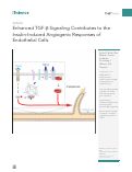 Cover page: Enhanced TGF-β Signaling Contributes to the Insulin-Induced Angiogenic Responses of Endothelial Cells