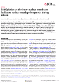 Cover page: SUMOylation at the inner nuclear membrane facilitates nuclear envelope biogenesis during mitosis