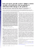 Cover page: Brain and muscle Arnt-like protein-1 (BMAL1) controls circadian cell proliferation and susceptibility to UVB-induced DNA damage in the epidermis