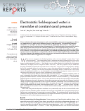 Cover page: Electrostatic field-exposed water in nanotube at constant axial pressure