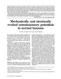 Cover page: Mechanically and electrically evoked somatosensory potentials in normal humans.