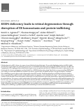 Cover page: REEP6 deficiency leads to retinal degeneration through disruption of ER homeostasis and protein trafficking.