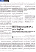 Cover page: How fluorescent RNA gets its glow