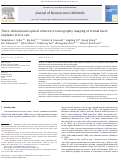 Cover page: Three-dimensional optical coherence tomography imaging of retinal sheet implants in live rats