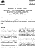 Cover page: Filling-in of the foveal blue scotoma