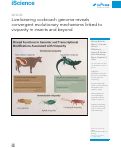 Cover page: Live-bearing cockroach genome reveals convergent evolutionary mechanisms linked to viviparity in insects and beyond.