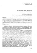 Cover page: Mantodei della Somalia