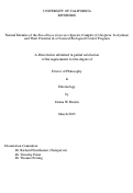 Cover page: Natural Enemies of the Euwallacea fornicates Species Complex (Coleoptera: Scolytinae) and Their Potential in a Classical Biological Control Program