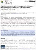 Cover page: Digital spatial profiling of human parathyroid tumors reveals cellular and molecular alterations linked to vitamin D deficiency