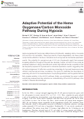 Cover page: Adaptive Potential of the Heme Oxygenase/Carbon Monoxide Pathway During Hypoxia