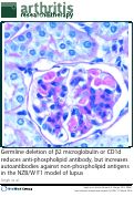 Cover page: Germline deletion of beta2 microglobulin or CD1d reduces anti-phospholipid antibody, but increases autoantibodies against non-phospholipid antigens, in NZB/W F1 model of lupus