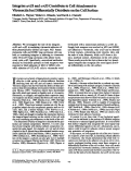 Cover page: Integrins alpha v beta 3 and alpha v beta 5 contribute to cell attachment to vitronectin but differentially distribute on the cell surface.