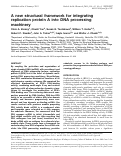 Cover page: A new structural framework for integrating replication protein A into DNA processing machinery