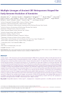 Cover page: Multiple Lineages of Ancient CR1 Retroposons Shaped the Early Genome Evolution of Amniotes