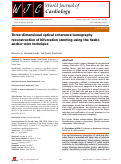 Cover page: Three-dimensional optical coherence tomography reconstruction of bifurcation stenting using the Szabo anchor-wire technique