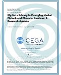 Cover page: Big Data Privacy in Emerging Market Fintech and Financial Services: A Research Agenda