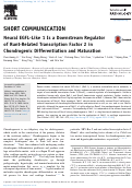 Cover page: Neural EGFL-Like 1 Is a Downstream Regulator of Runt-Related Transcription Factor 2 in Chondrogenic Differentiation and Maturation