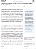 Cover page: 3D intrusions transport active surface microbial assemblages to the dark ocean.