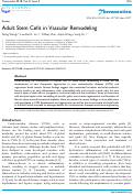 Cover page: Adult Stem Cells in Vascular Remodeling