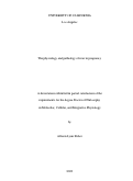 Cover page: The physiology and pathology of iron in pregnancy