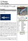Cover page of Cuban Dogfish Wikifish