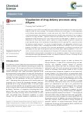 Cover page: Visualization of drug delivery processes using AIEgens