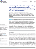 Cover page: Laminin signals initiate the reciprocal loop that informs breast-specific gene expression and homeostasis by activating NO, p53 and microRNAs