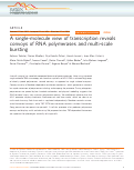 Cover page: A single-molecule view of transcription reveals convoys of RNA polymerases and multi-scale bursting