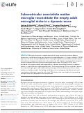 Cover page: Subventricular zone/white matter microglia reconstitute the empty adult microglial niche in a dynamic wave