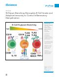 Cover page: N-Glycan Branching Decouples B Cell Innate and Adaptive Immunity to Control Inflammatory Demyelination