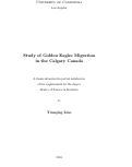 Cover page: Study of Golden Eagles Migration in the Calgary Canada