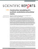 Cover page: Constructive remodeling of a synthetic endothelial extracellular matrix