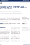 Cover page: Transradial Approach for Thoracolumbar Spinal Angiography and Tumor Embolization: Feasibility and Technical Considerations