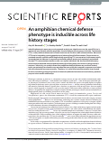 Cover page: An amphibian chemical defense phenotype is inducible across life history stages