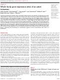 Cover page: Whole-body gene expression atlas of an adult metazoan