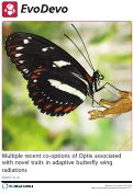 Cover page: Multiple recent co-options of Optix associated with novel traits in adaptive butterfly wing radiations