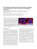 Cover page: Four-Dimensional Imaging of ZnO-Coated Alumina Aerogels by Scanning Transmission X‑ray Microscopy and Ptychographic Tomography